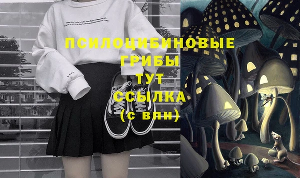 гидра Баксан