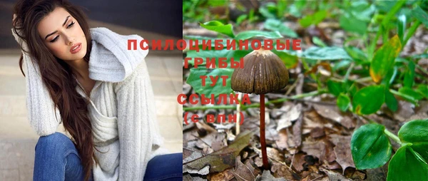 мдпв Балабаново