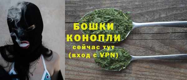 гидра Баксан