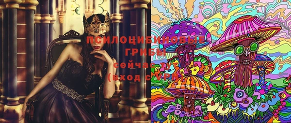 мдпв Балабаново