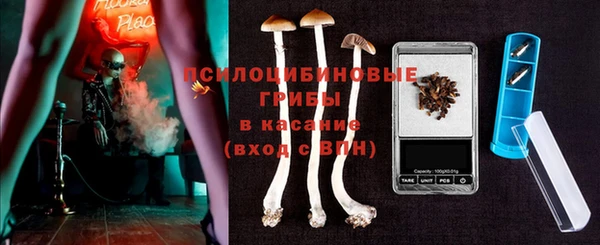 гидра Баксан