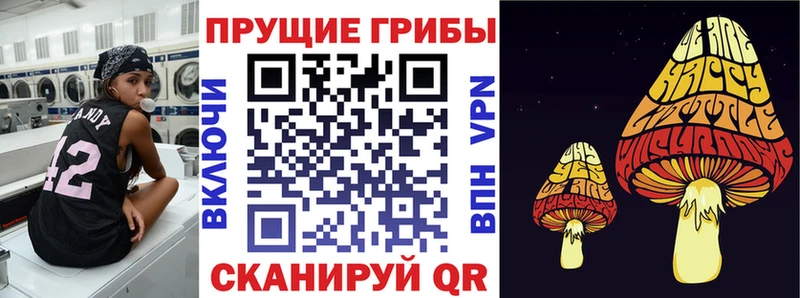 МЕГА зеркало  Горно-Алтайск  Галлюциногенные грибы MAGIC MUSHROOMS 