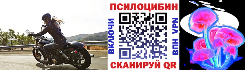Галлюциногенные грибы Cubensis Горно-Алтайск
