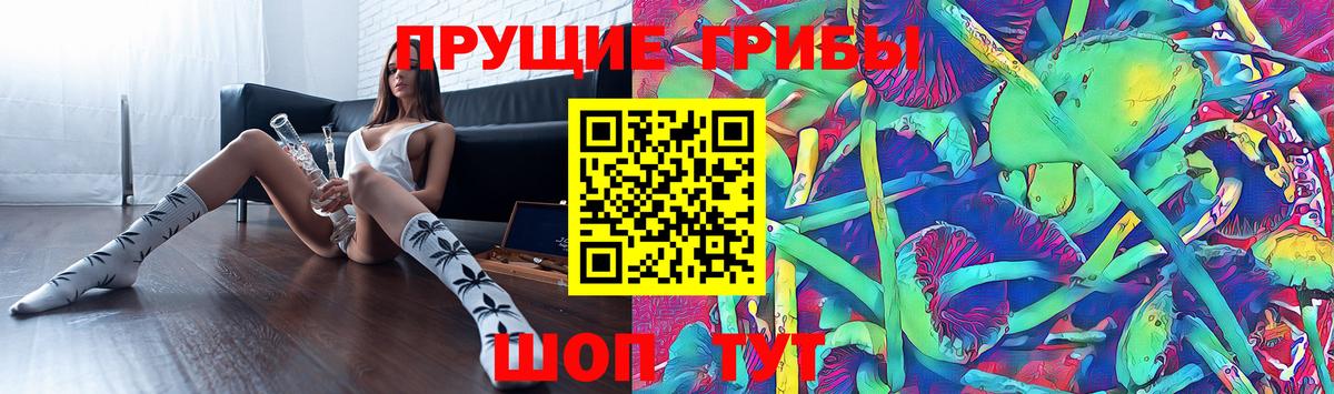 Галлюциногенные грибы Psilocybine cubensis  Вход с VPN  Горно-Алтайск 