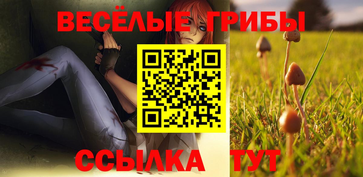 Псилоцибиновые грибы GOLDEN TEACHER Горно-Алтайск