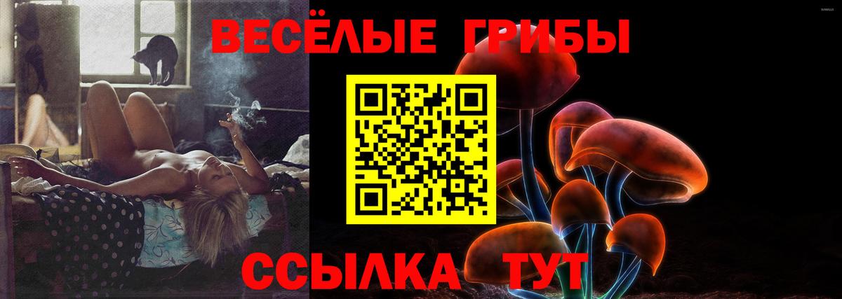 Псилоцибиновые грибы Psilocybine cubensis Горно-Алтайск