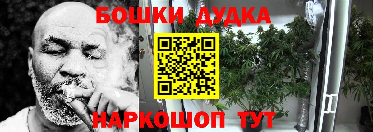Бошки марихуана семена Горно-Алтайск